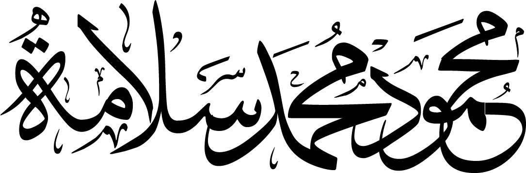 النظام الإداري والمالي الشخصي